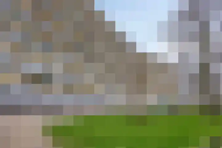 Pharus 302 Zaandam foto 3