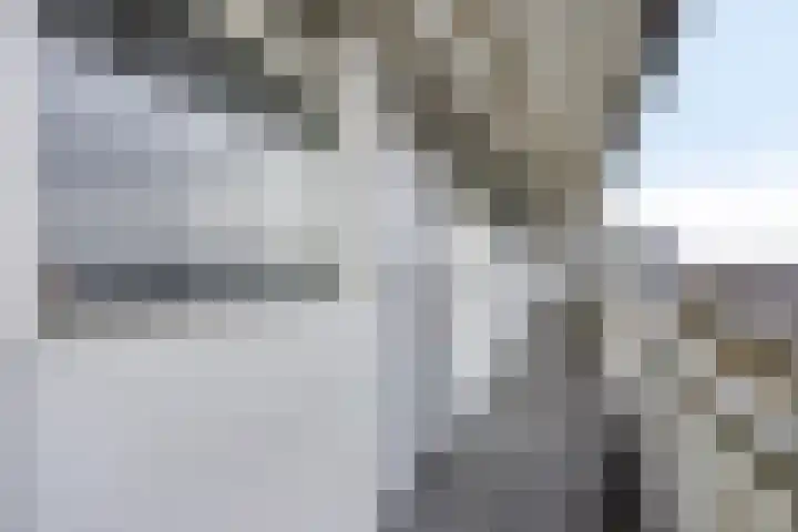 Pharus 302 Zaandam thumbnail 6