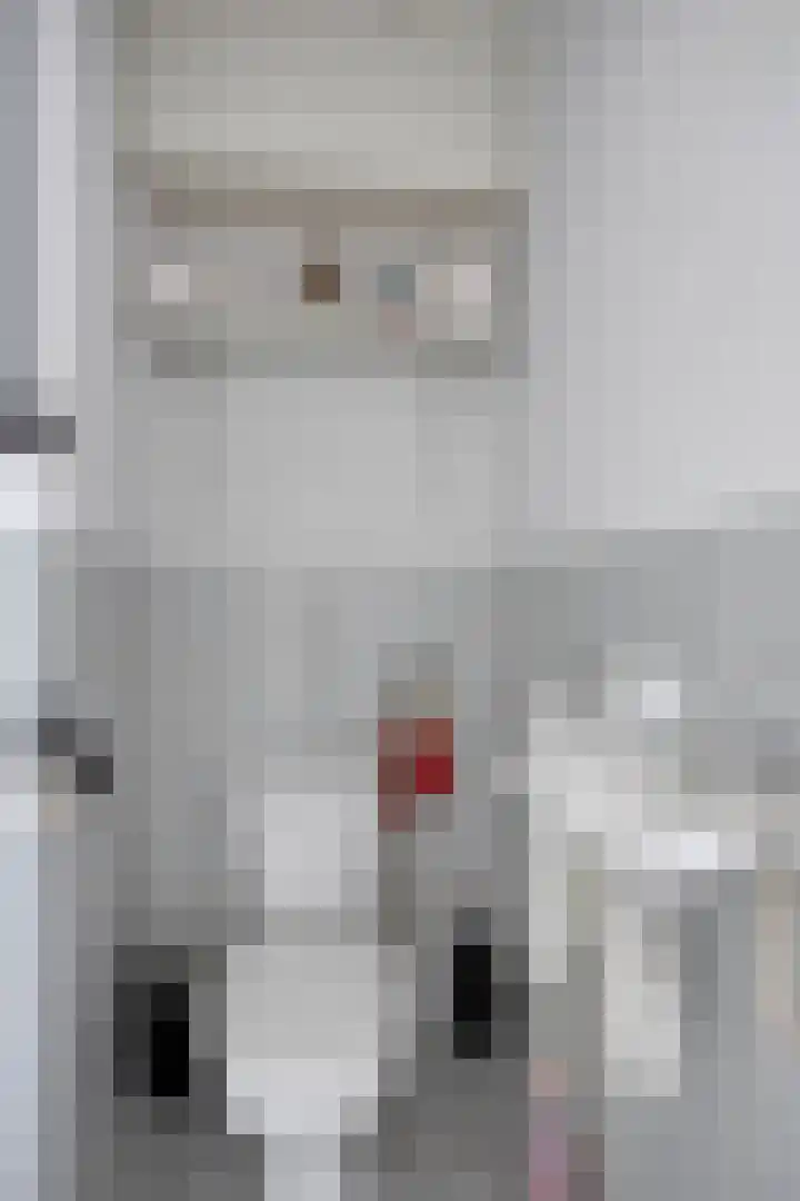 Pharus 302 Zaandam thumbnail 8