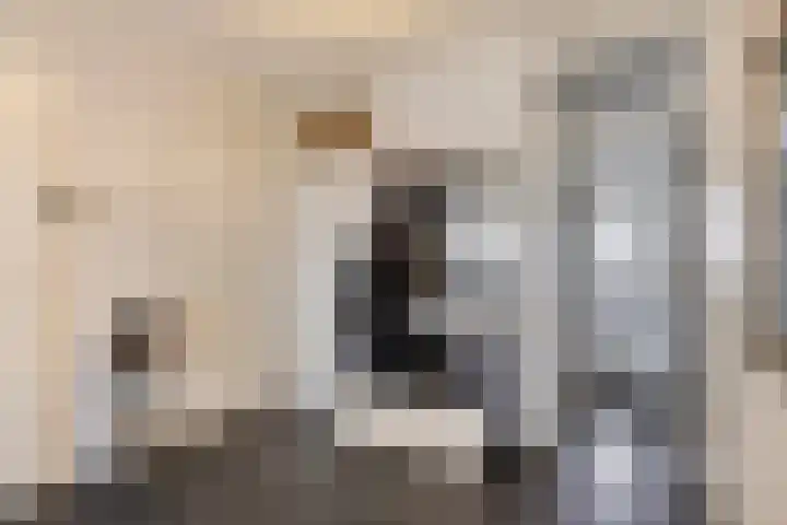 Pharus 302 Zaandam thumbnail 9