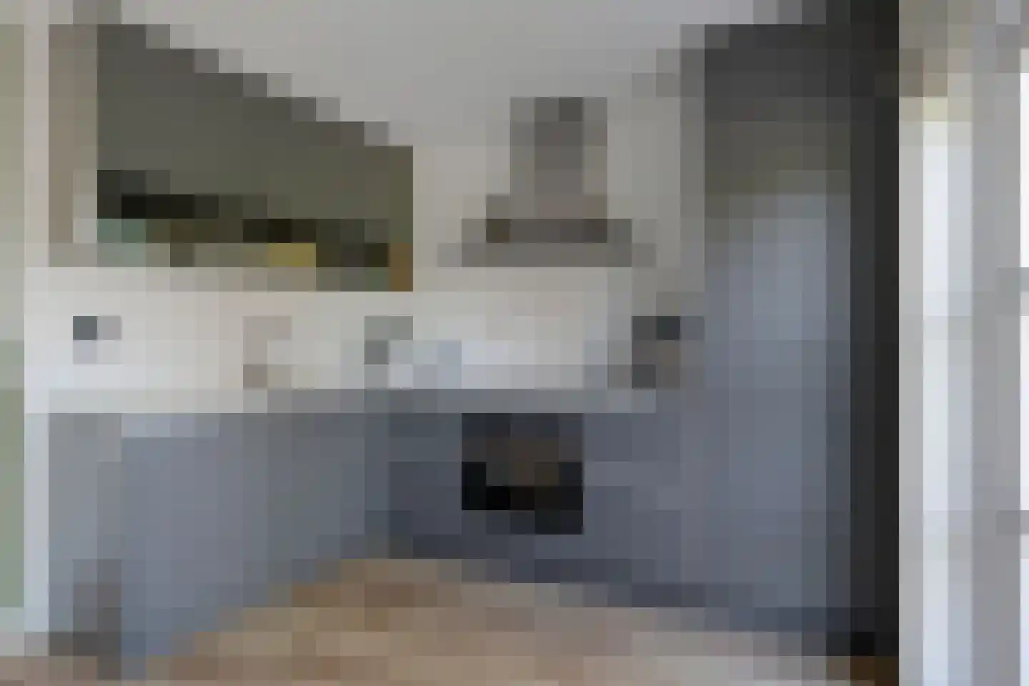 Philipsdaalder 40 Dronten thumbnail 10