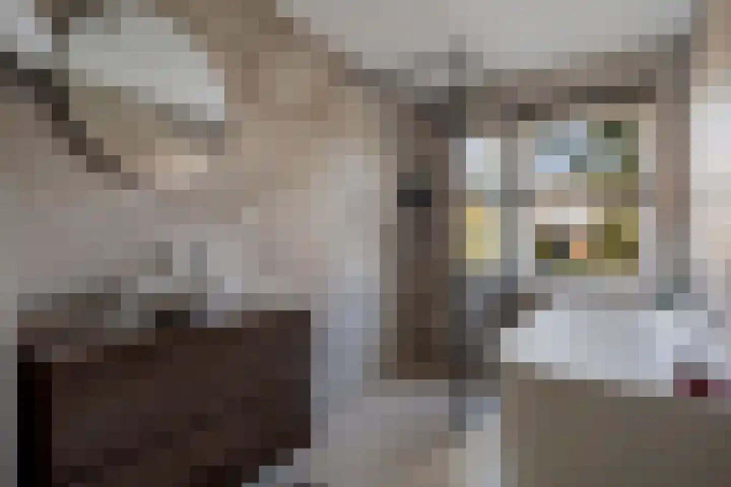Philipsdaalder 40 Dronten thumbnail 17