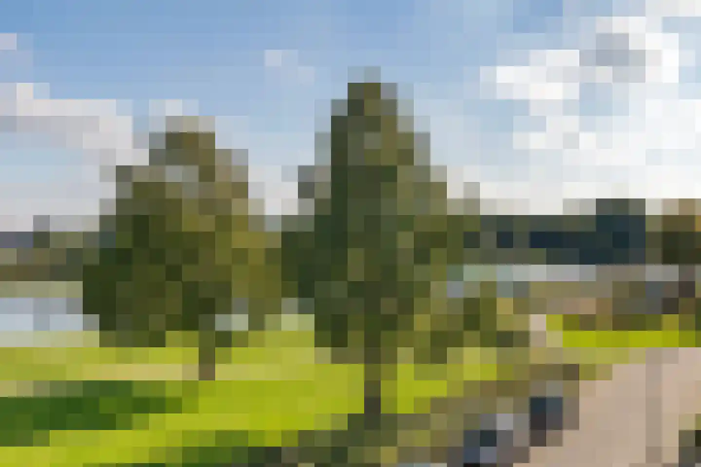 Philipsdaalder 40 Dronten thumbnail 26