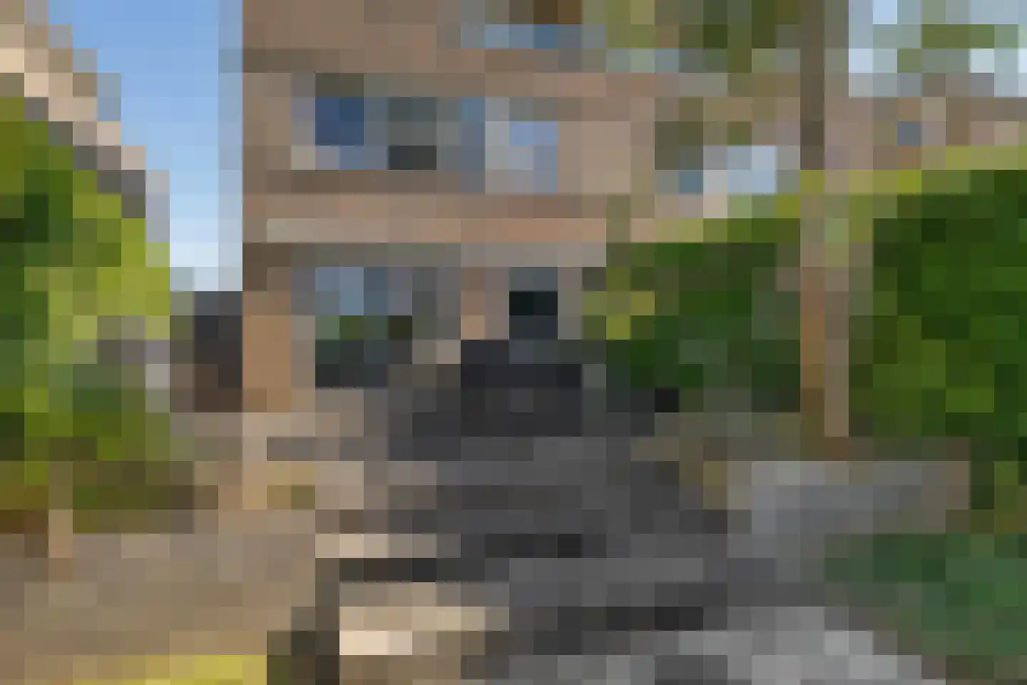 Philipsdaalder 40 Dronten thumbnail 33