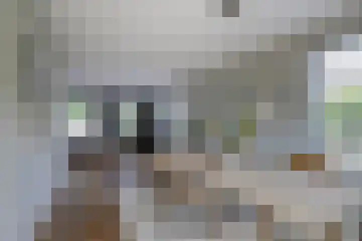 Philipsgulden 7 Dronten thumbnail 11