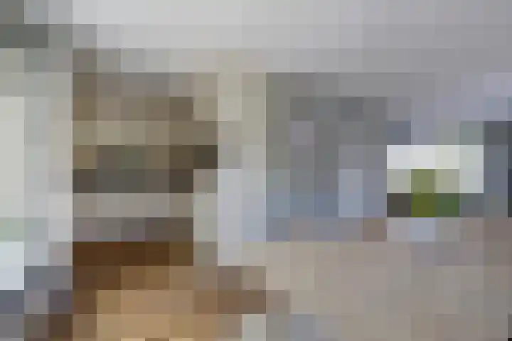Philipsgulden 7 Dronten thumbnail 12
