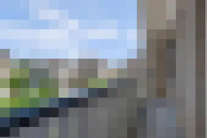 Philipsgulden 7 Dronten thumbnail 18