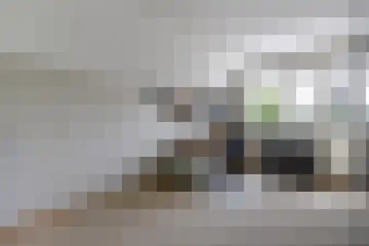 Philipsgulden 7 Dronten thumbnail 19