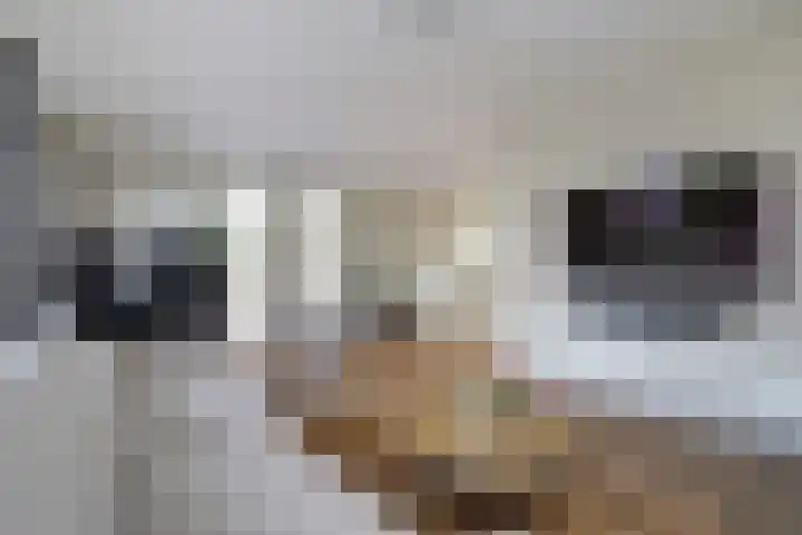 Philipsgulden 7 Dronten foto 2