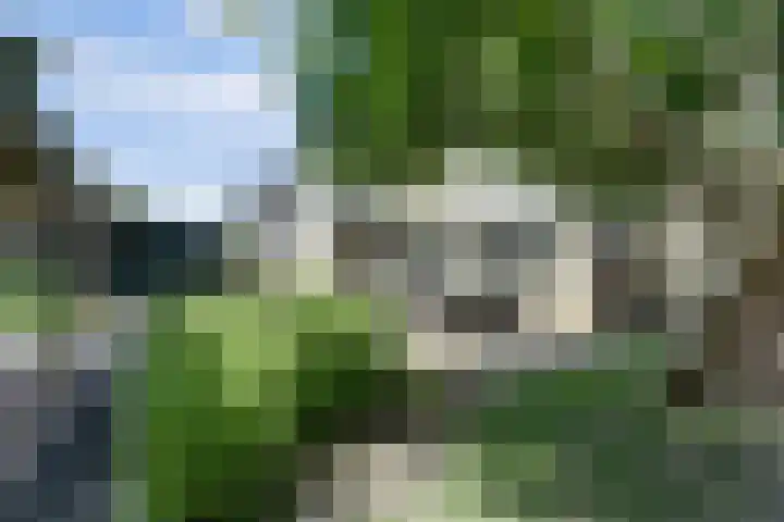 Philipsgulden 7 Dronten thumbnail 33