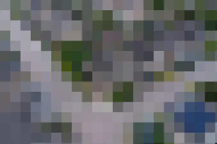 Philipsgulden 7 Dronten thumbnail 36