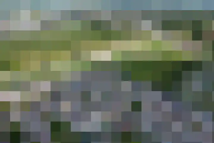 Philipsgulden 7 Dronten thumbnail 37