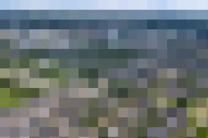 Philipsgulden 7 Dronten thumbnail 38