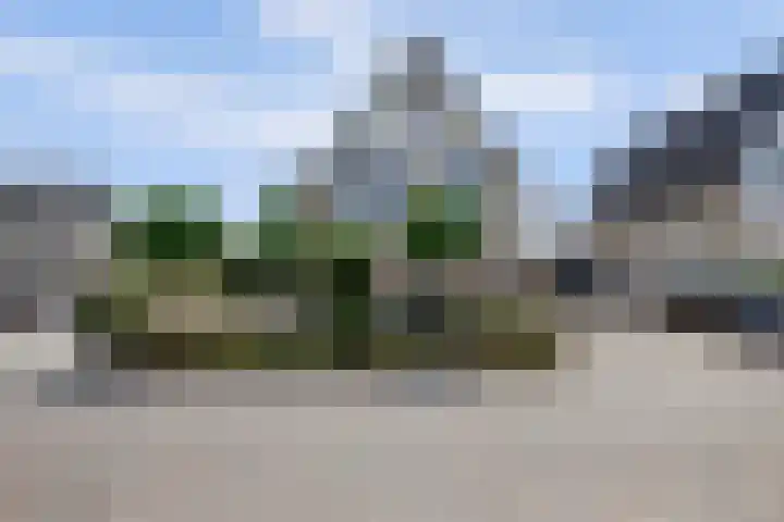 Philipsgulden 7 Dronten thumbnail 40