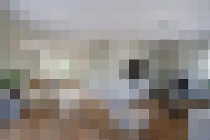 Philipsgulden 7 Dronten thumbnail 8