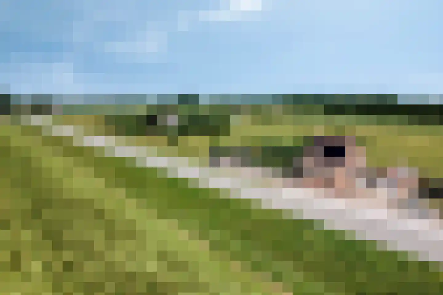 Philipsweg 16 dans Waterlandkerkje