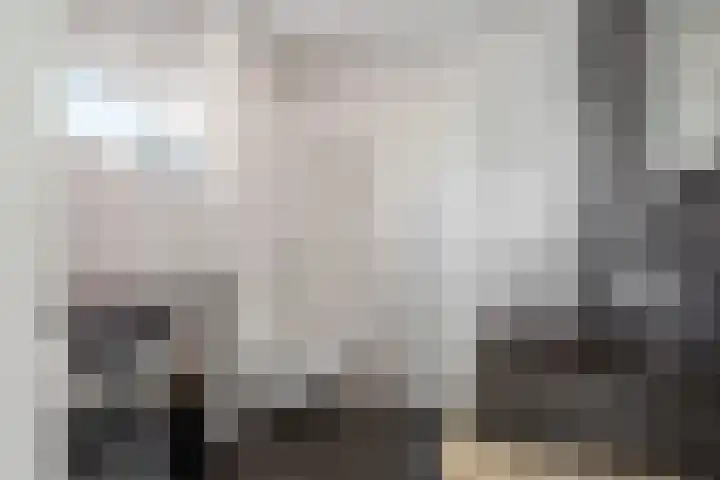 Phoenix 7 Waddinxveen thumbnail 23