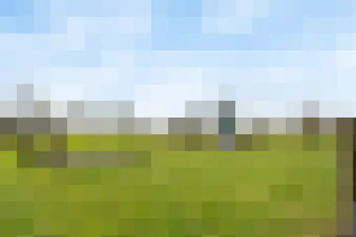 Phoenix 7 Waddinxveen thumbnail 32