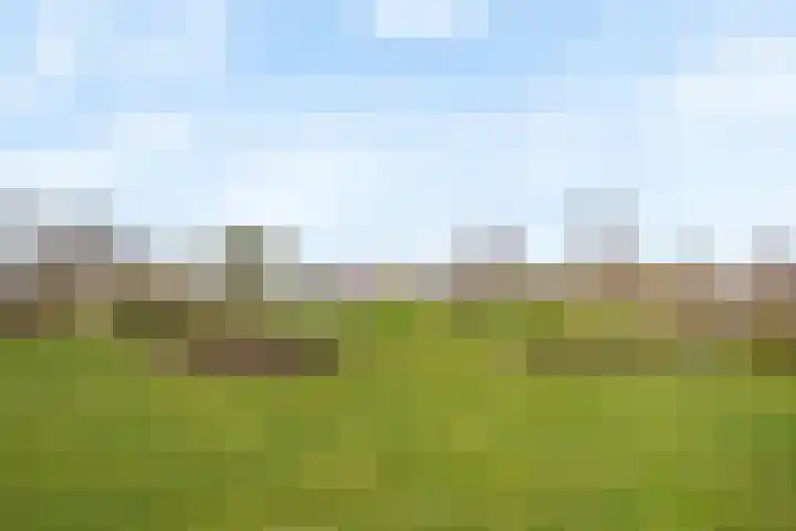 Phoenix 7 Waddinxveen thumbnail 33