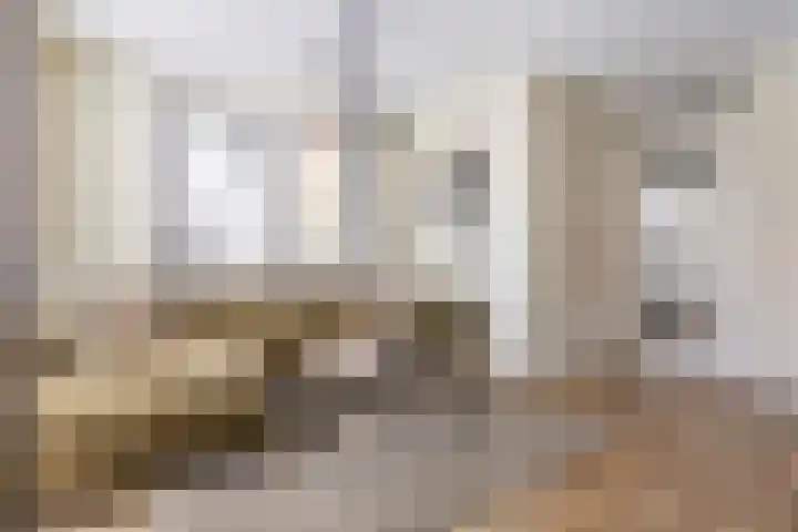 Phoenix 7 Waddinxveen thumbnail 7