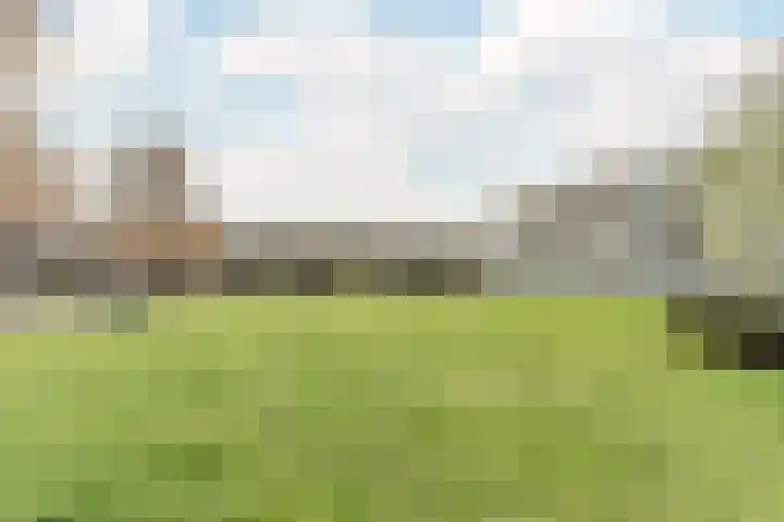 Phoenixplaats 11 Tilburg thumbnail 38