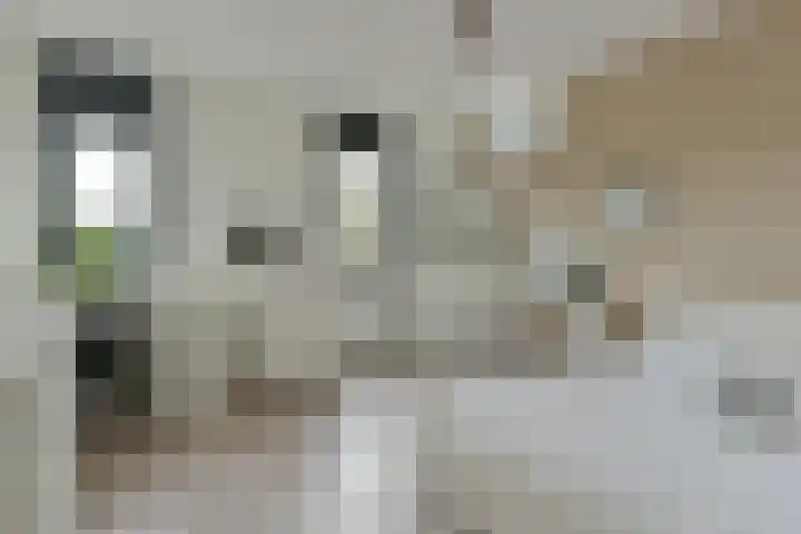 Pi Schefferstraat 102 Hilversum thumbnail 20