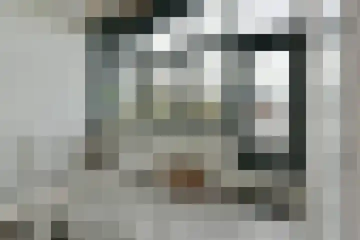 Pi Schefferstraat 102 Hilversum thumbnail 25