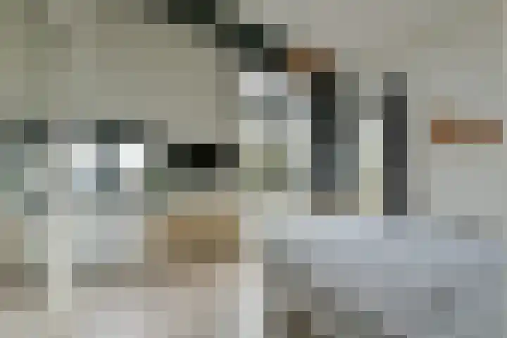 Pi Schefferstraat 102 Hilversum thumbnail 28