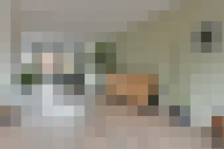 Pi Schefferstraat 102 Hilversum thumbnail 7