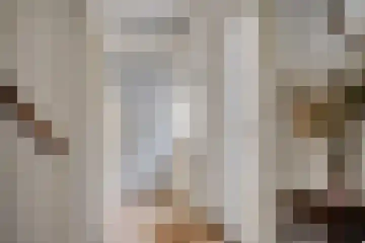 Pibemalaan 6 Pingjum thumbnail 26