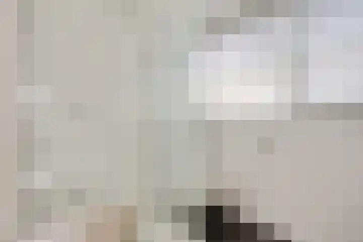 Pibemalaan 6 Pingjum thumbnail 33