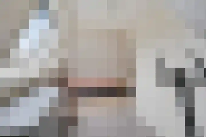Pibemalaan 6 Pingjum thumbnail 36