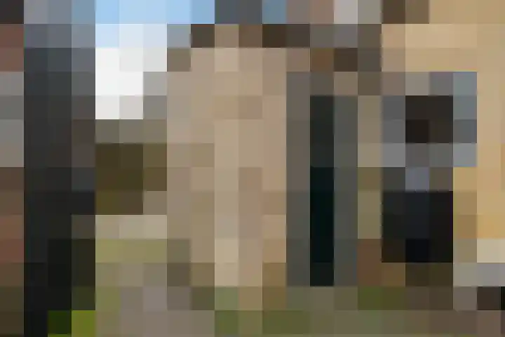 Pibemalaan 6 Pingjum thumbnail 42