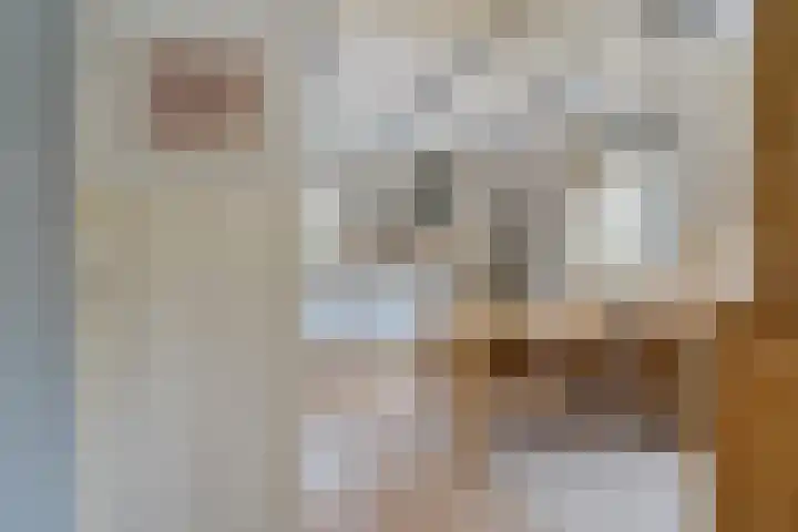 Pibemalaan 6 Pingjum thumbnail 8