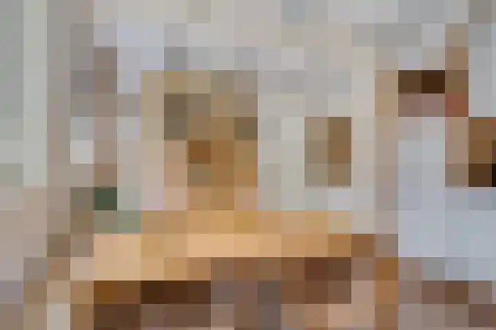 Pibemalaan 6 Pingjum thumbnail 9