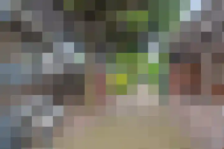 Picardie 23 Gennep thumbnail 35