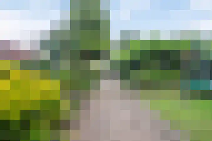 Picardie 23 Gennep thumbnail 36
