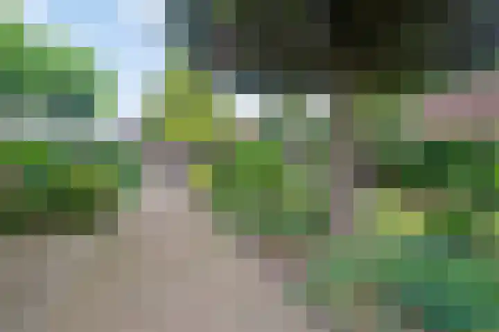 Picardie 23 Gennep thumbnail 39