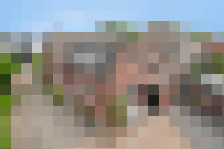 Picardie 23 Gennep thumbnail 45