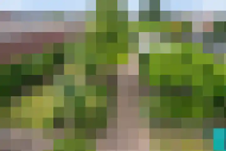 Picardie 23 Gennep thumbnail 47