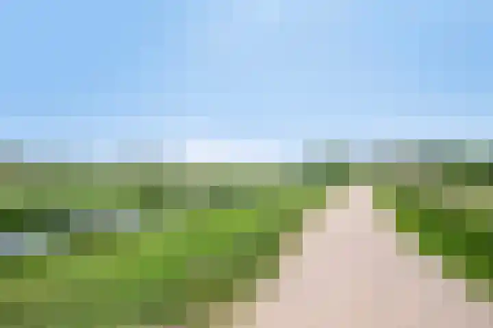 Picardie 23 Gennep thumbnail 51