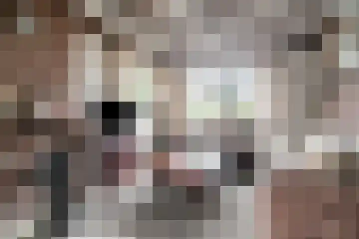 Picardie 23 Gennep thumbnail 7