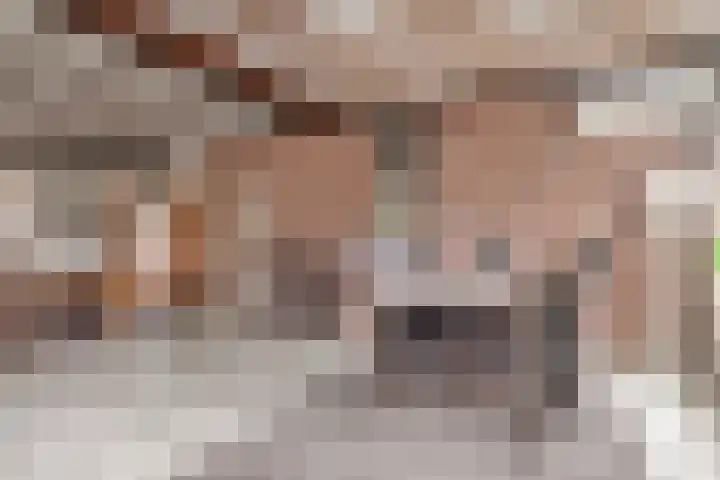 Picardie 23 Gennep thumbnail 8
