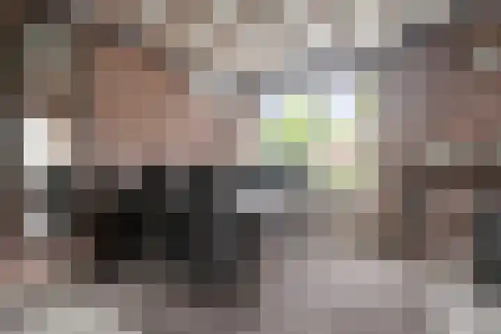 Picardie 23 Gennep thumbnail 9