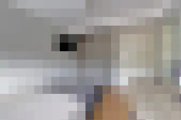 Piccolo 8 Ewijk thumbnail 17