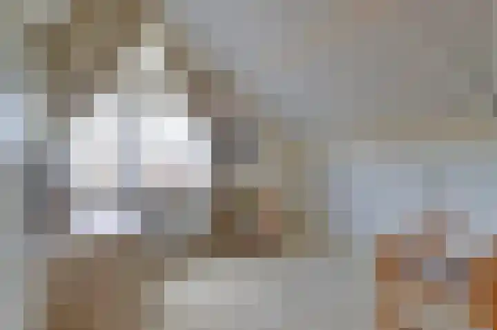 Piccolo 8 Ewijk thumbnail 25