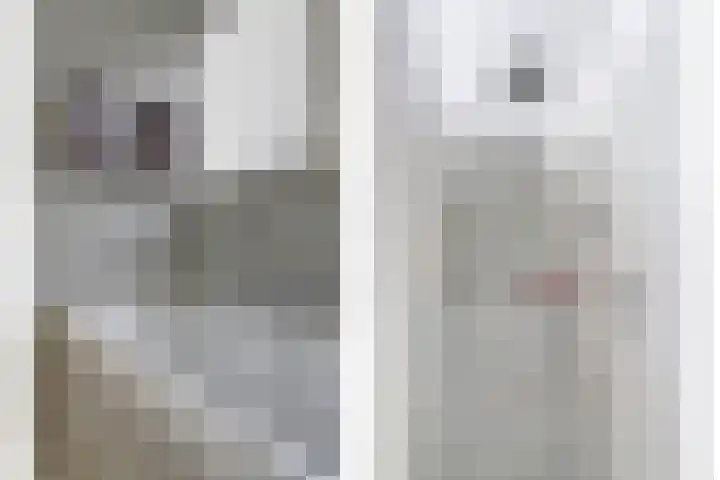 Piccolo 8 Ewijk thumbnail 27