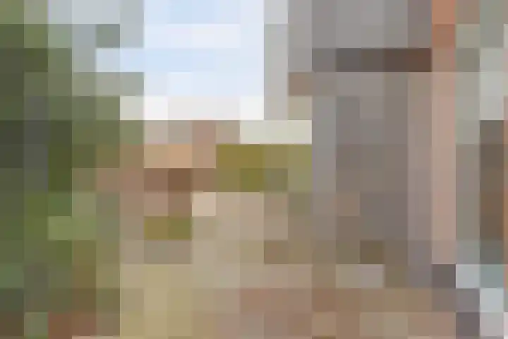 Piccolo 8 Ewijk thumbnail 34