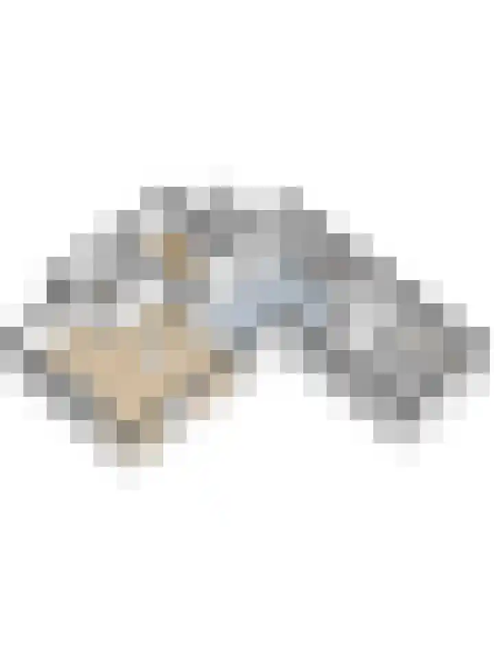 Piccolo 8 Ewijk thumbnail 37