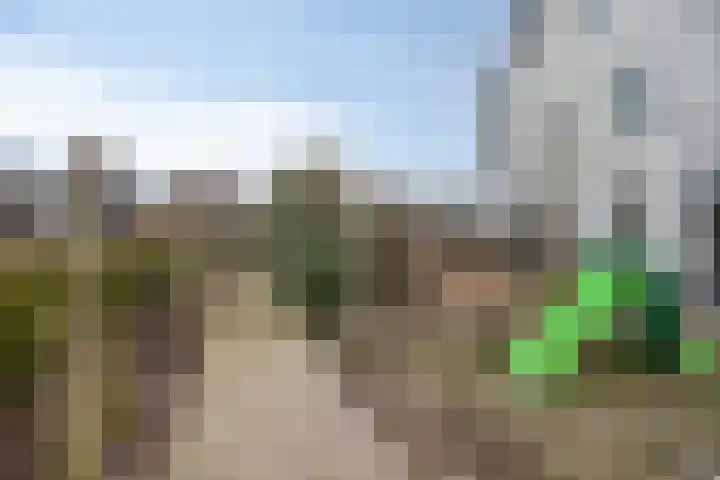 Piccolo 8 Ewijk thumbnail 7